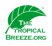 The Tropical Breeze one color logo by Mad Dog Graphix